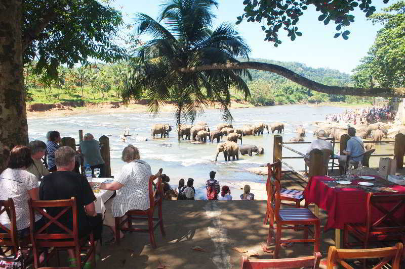 Hotel Elephant Bay Pinnawala  Exterior foto